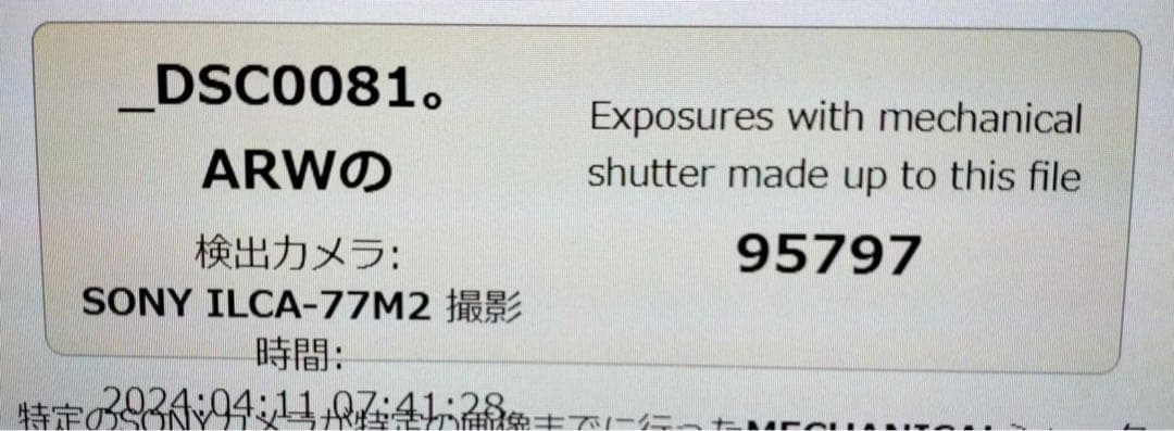 α77 Ⅱ 必ず購入前にコメント下さい