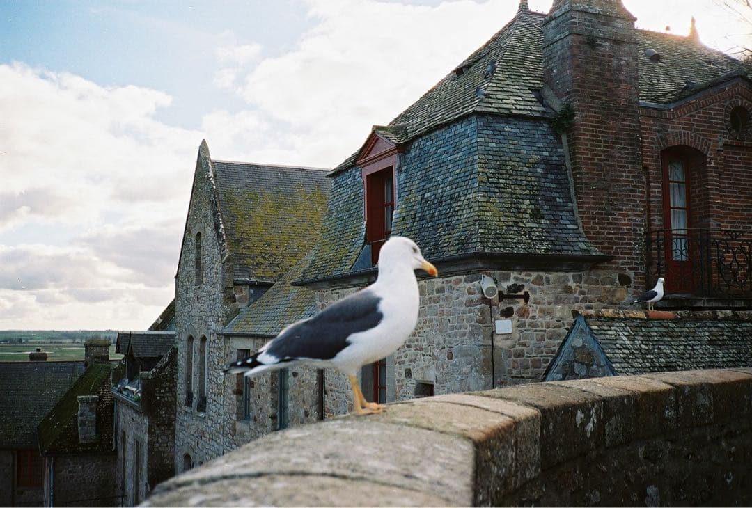 CONTAX コンタックス T2