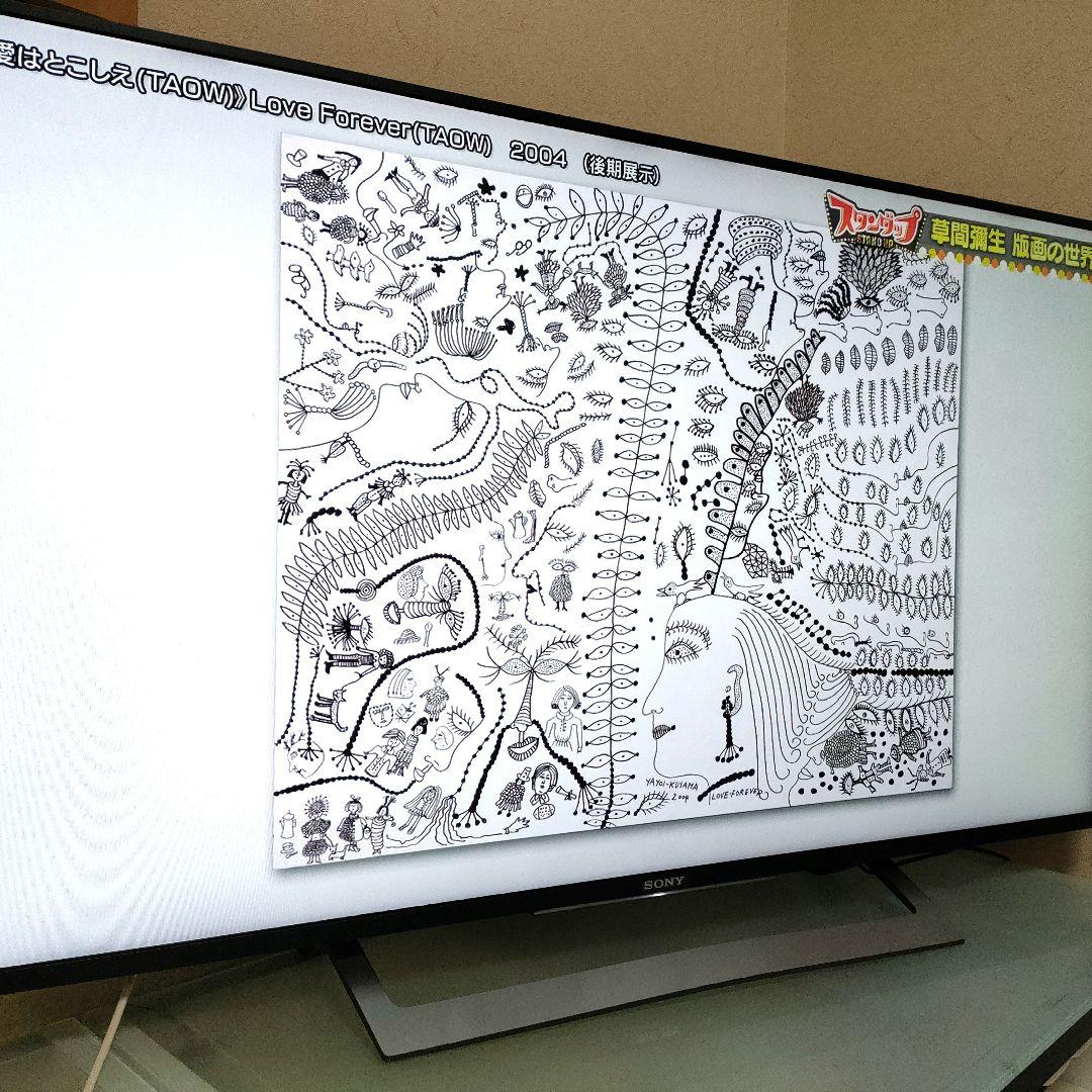 SONY[2016年製品]KJ-49X8300D