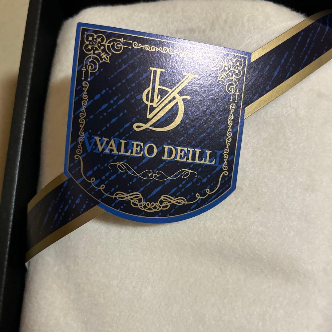 VALEO DEILL 絹毛布　シルク毛布　2枚セット 絹毛布　SILK