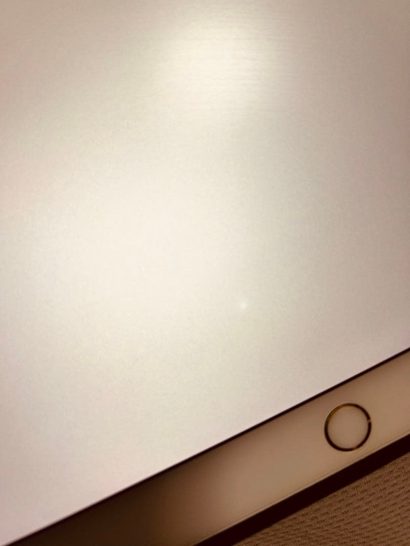 m*e様 iPad Pro 10.5インチ 256GB