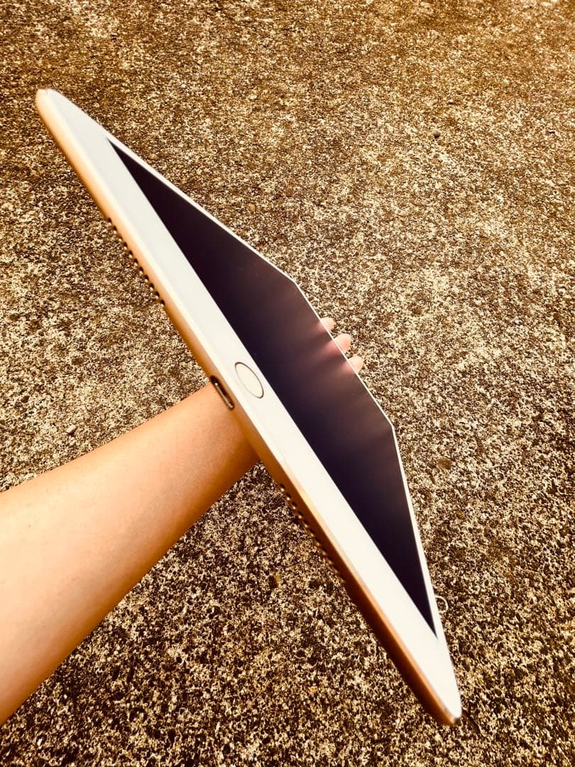 m*e様 iPad Pro 10.5インチ 256GB