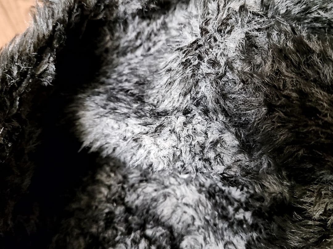 n.hoolywood スパイ期 ドレスライン モッズコート