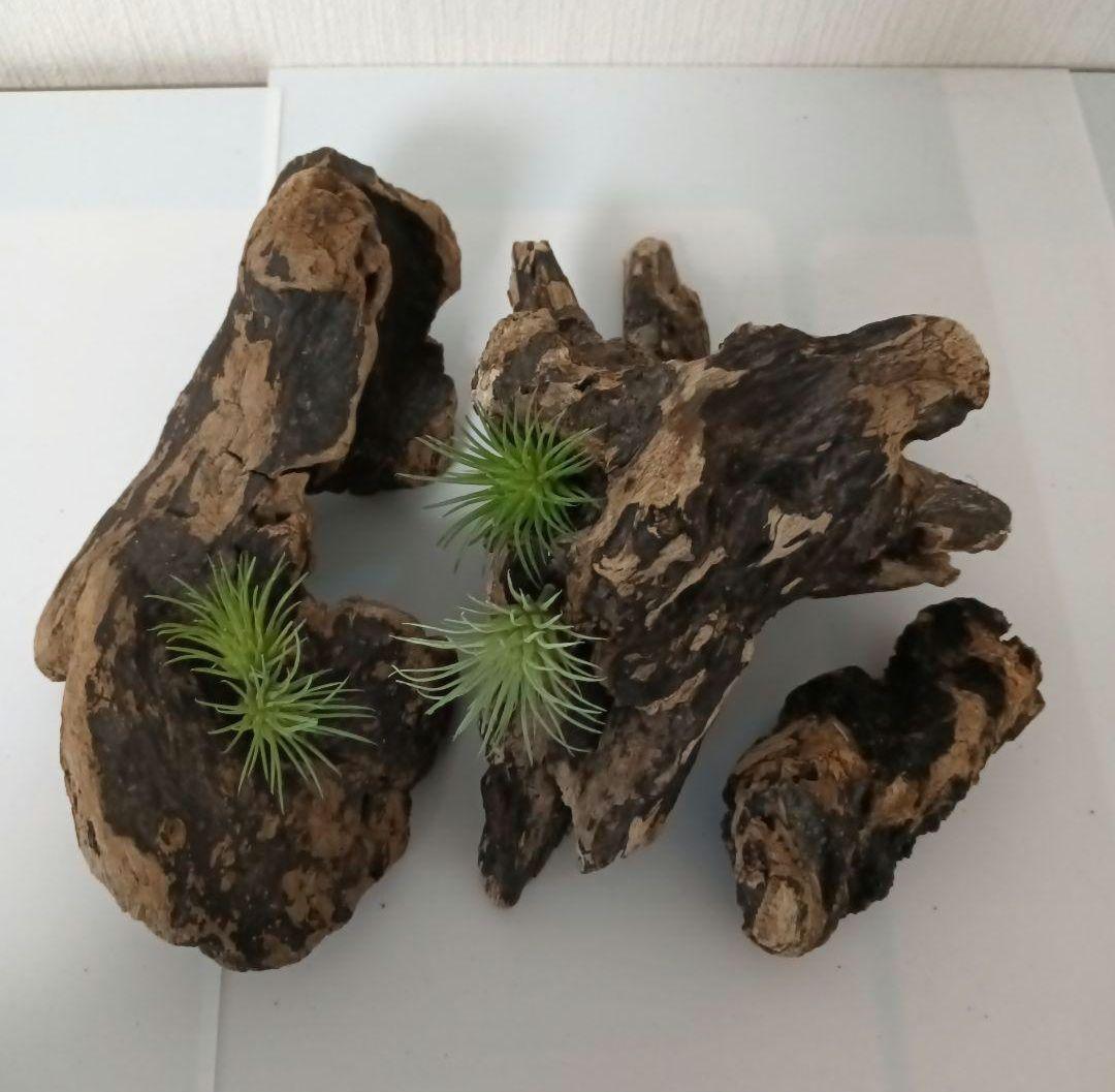 シグノ様　流木465　468　 469 　リクエスト　3点 おまとめ商品