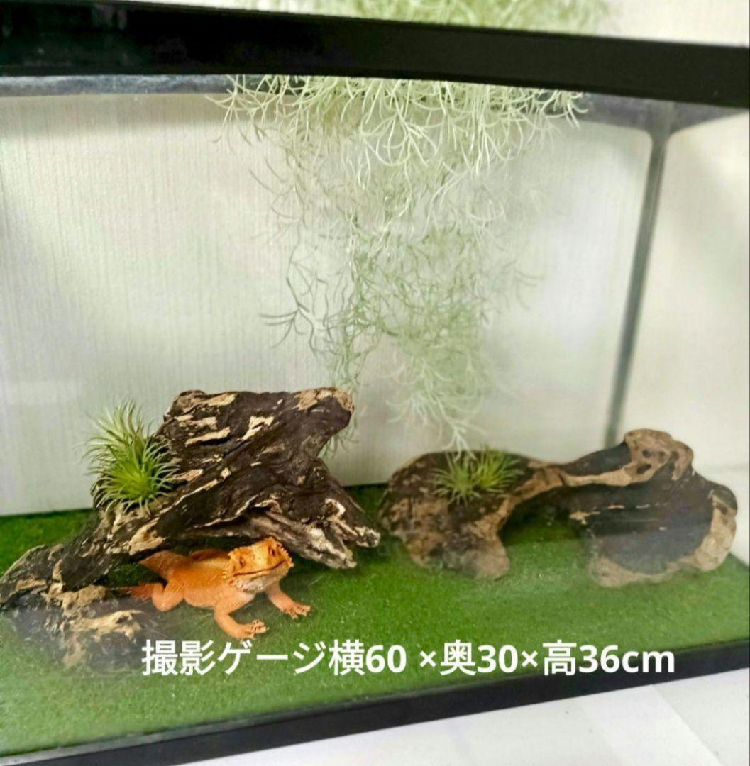 シグノ様　流木465　468　 469 　リクエスト　3点 おまとめ商品