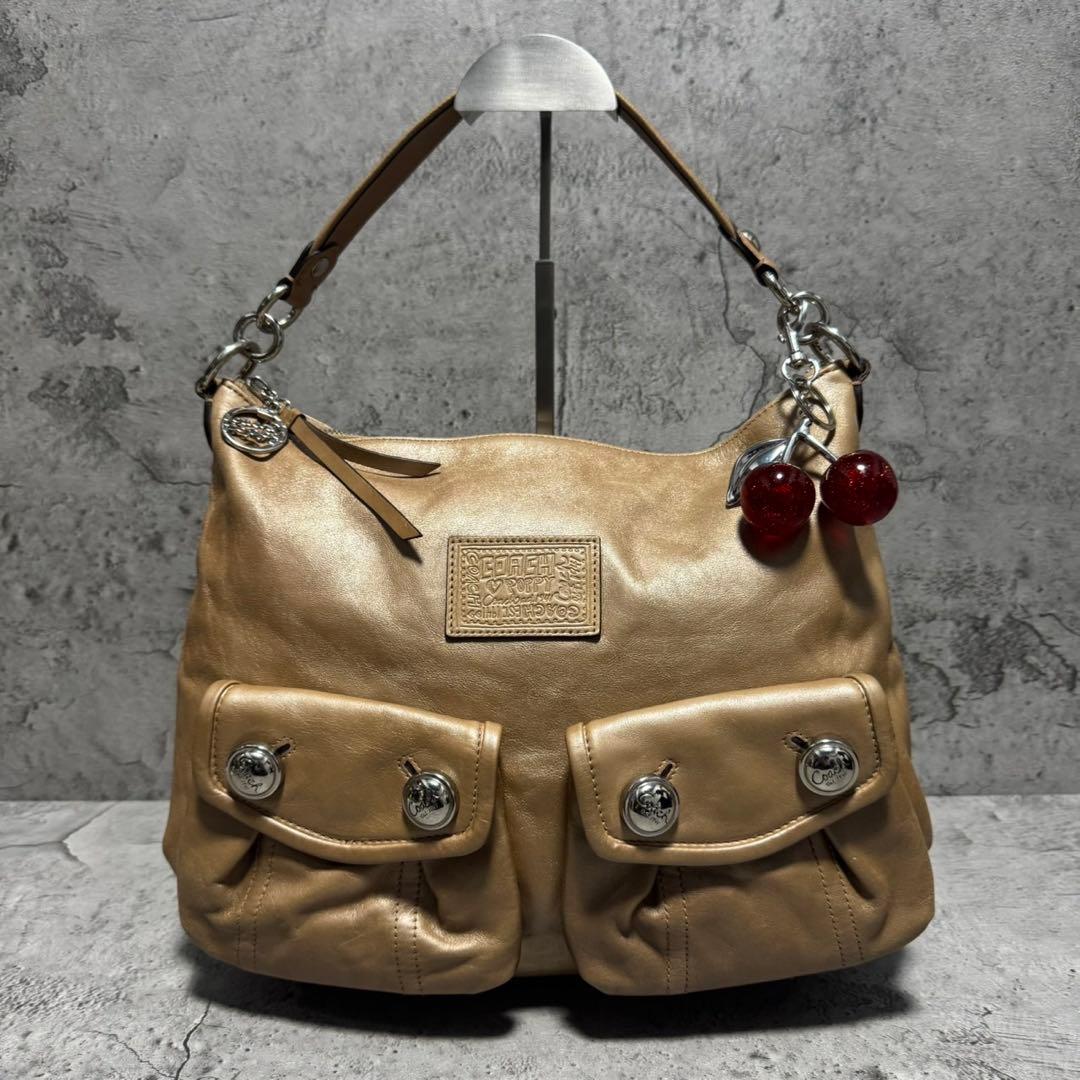 バッグ Y2K COACH POPPY Double pocket 2way bag
