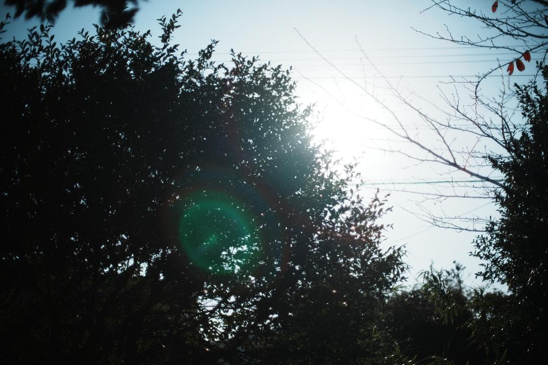 【整備＆テスト済】Nikon Ai Nikkor 50mm F1.2. 971