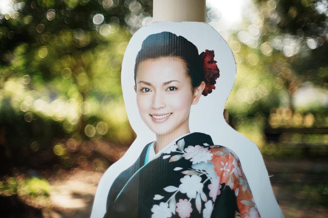 【整備＆テスト済】Nikon Ai Nikkor 50mm F1.2. 971