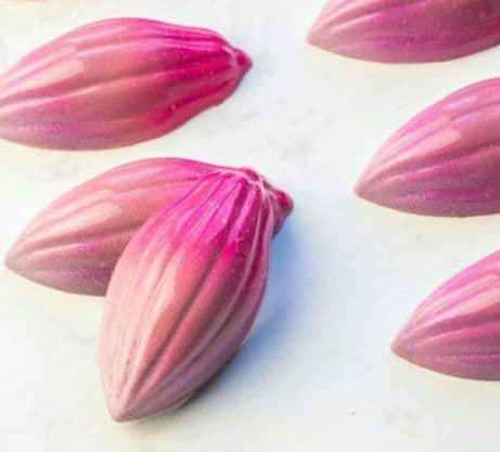 NAGA◆2枚チョコレートワールド1558 16Pカカオ豆 型マトファー