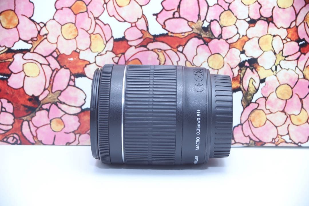 ❤️定番❤️Canon EF-S 18-55mm f3.5-5.6 IS STM❤️