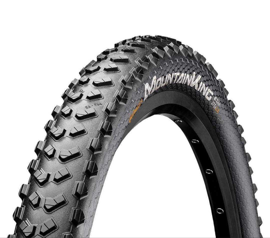 12701 2本セット (コンチネンタル) チューブレスレディ