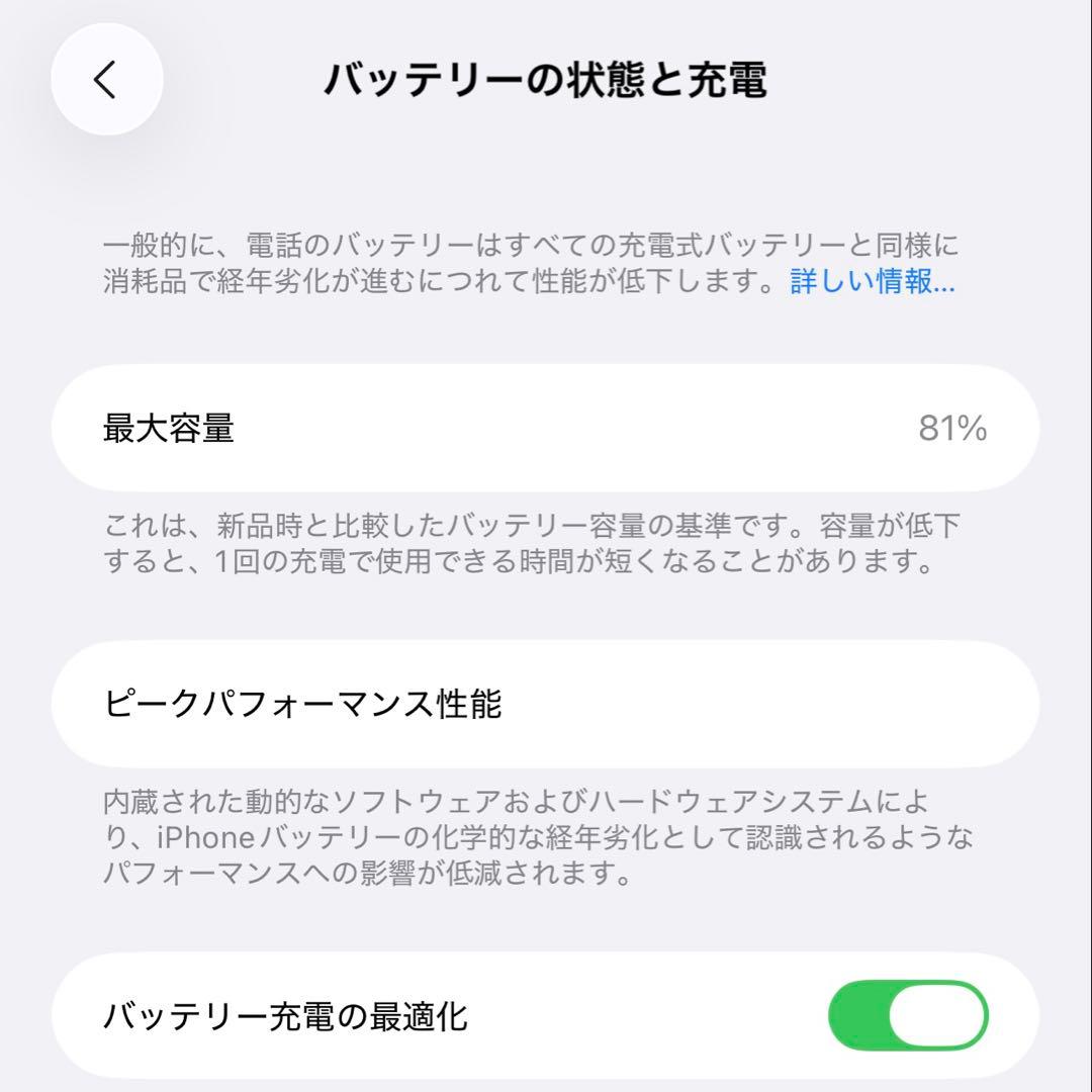 iPhone13 Pro Max 256GB グラファイト