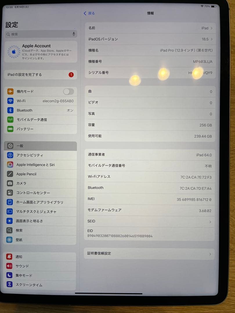 iPad Pro 12.9 第6世代) Cellular 256GB