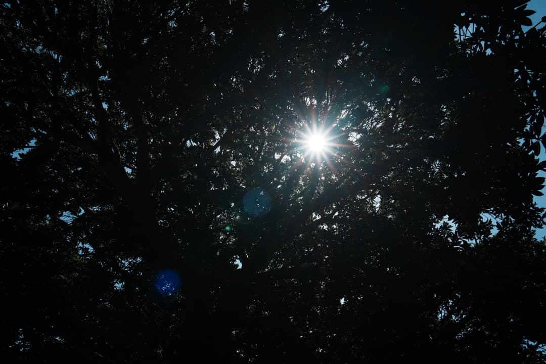 美品 SONY SEL1670Z ツァイス 16-70mm F4 手ブレ補正付