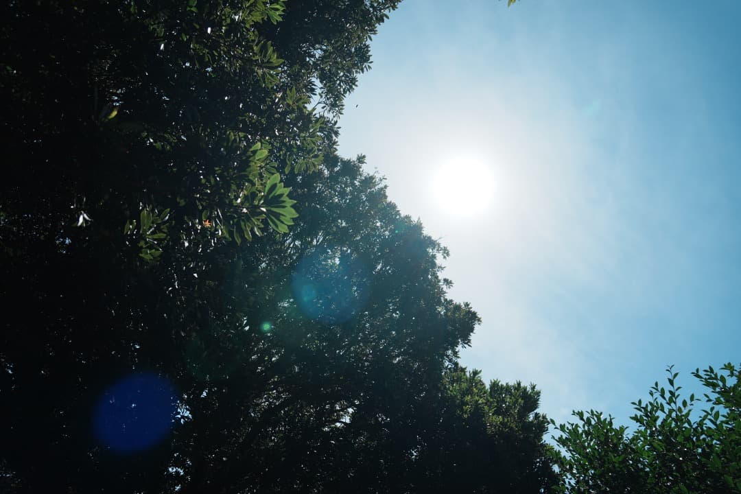 美品 SONY SEL1670Z ツァイス 16-70mm F4 手ブレ補正付