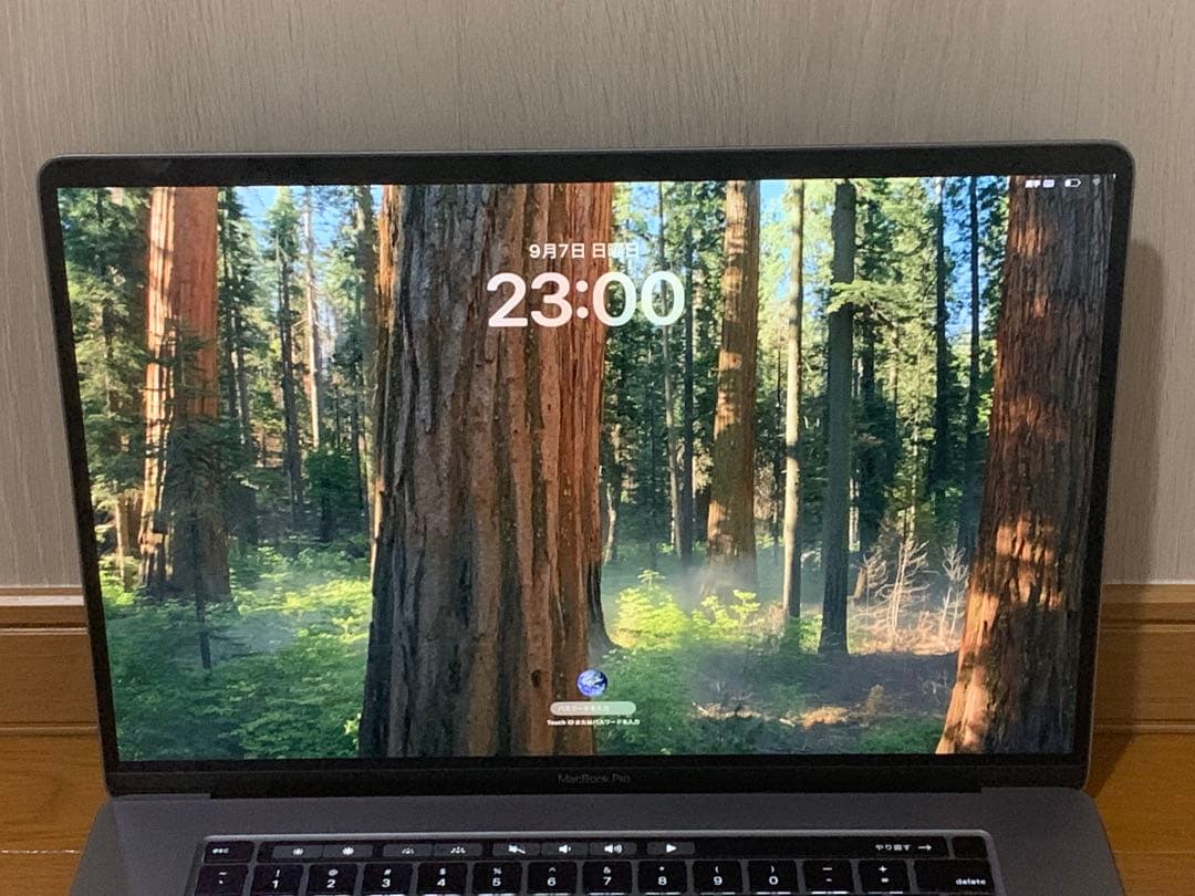 MacBookPro core i9 32GB/512GB バッテリー正常 US