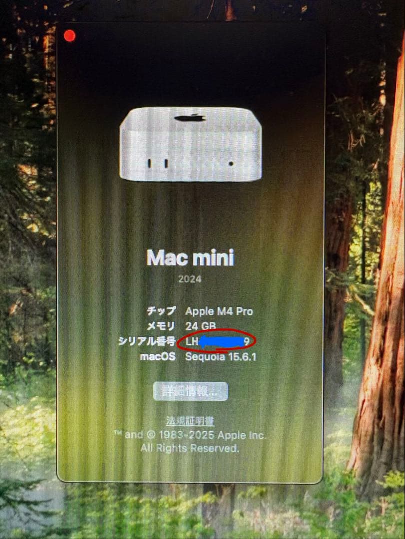 Macデスクトップ Apple Mac mini M4pro 512GB SSD