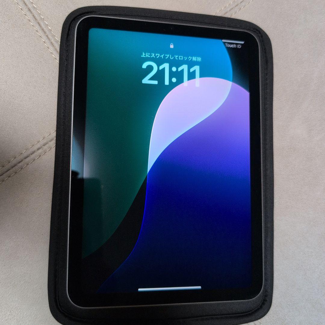 第6世代 iPad mini wifi 256GB スペースグレー ※本体のみ