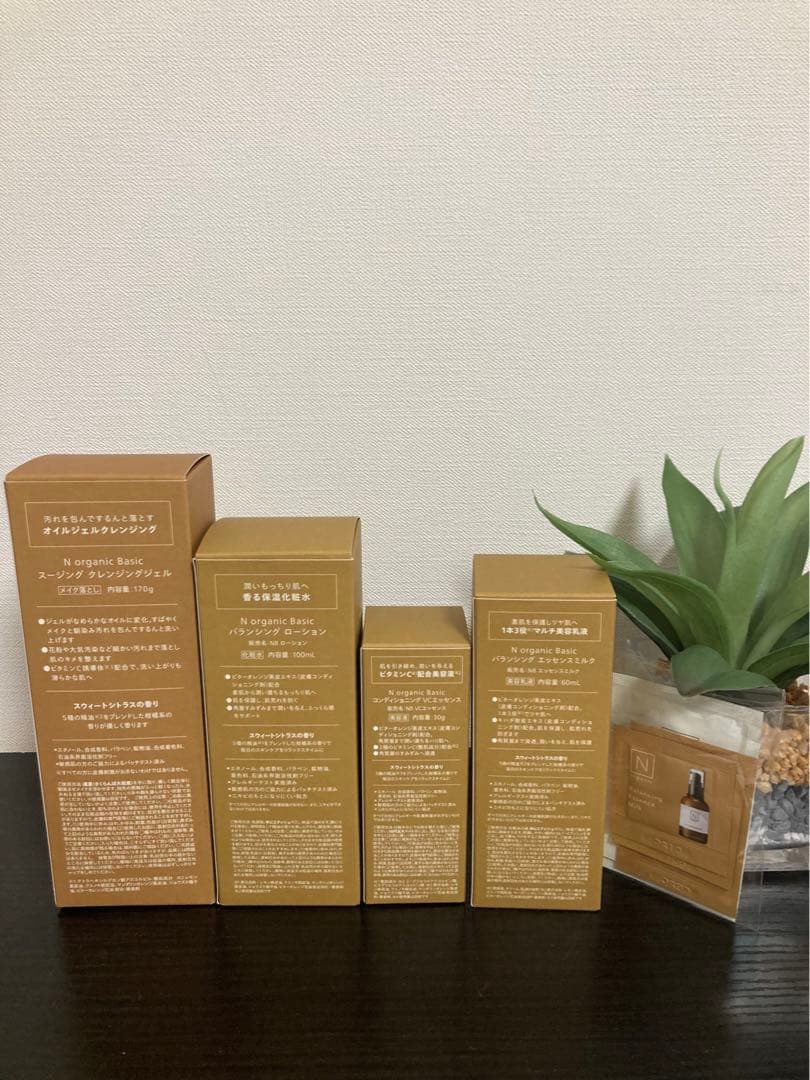 Nオーガニック　新品未開封⭐️ Norgnic Basic ４点セット