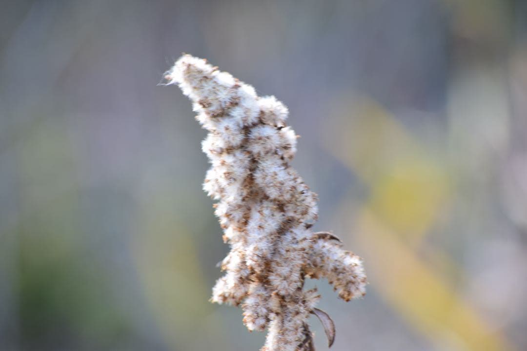 『外観美品　動作確認済』Nikon D5300 ダブルズームセット