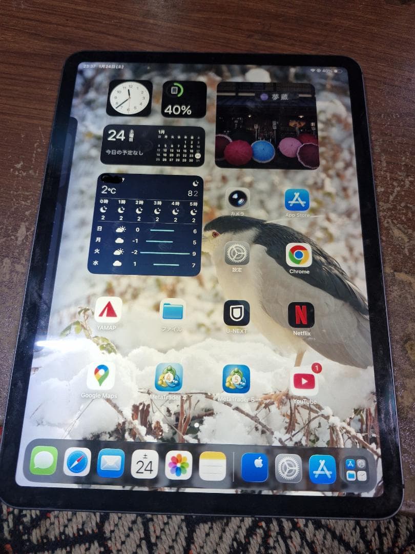 iPad Pro 第1世代 11インチ 64GB Wi-Fi+Cellular