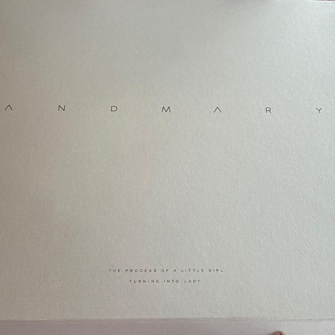 バッグ BLK ANDMARY VALENTINE RIBBON LEATHER BAG