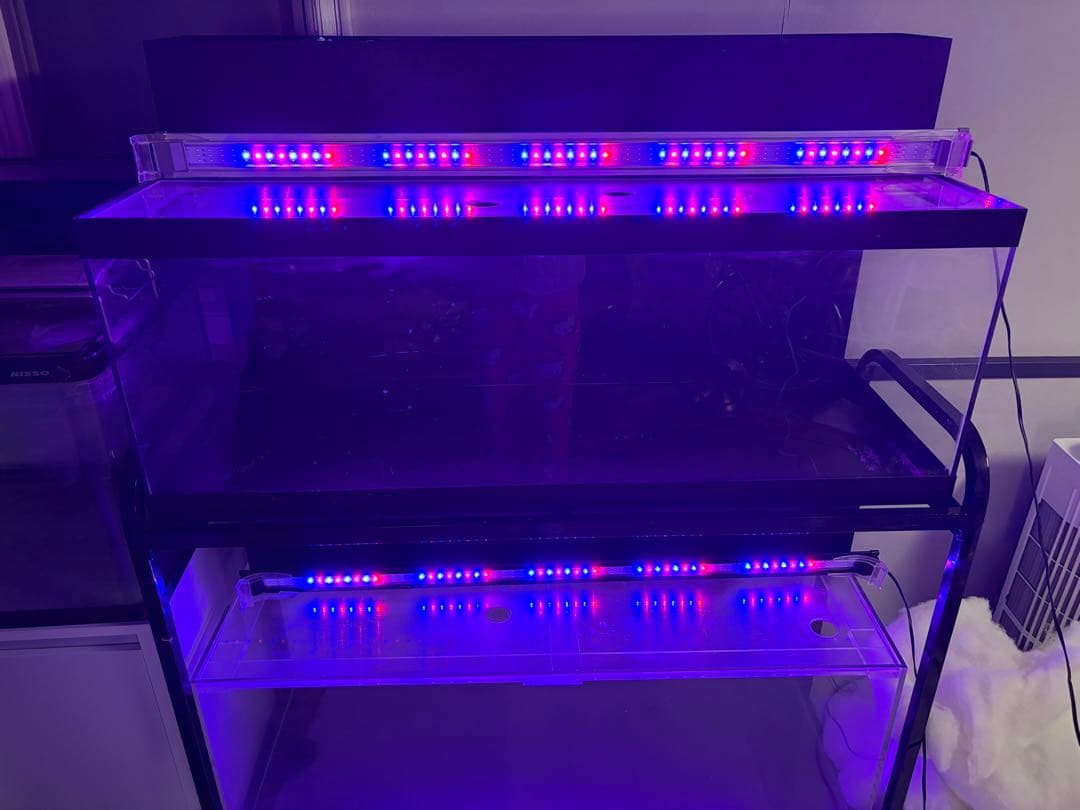 大型 水槽セット メタルラック 2段 LEDライト付き KOTOBUKIコトブキ