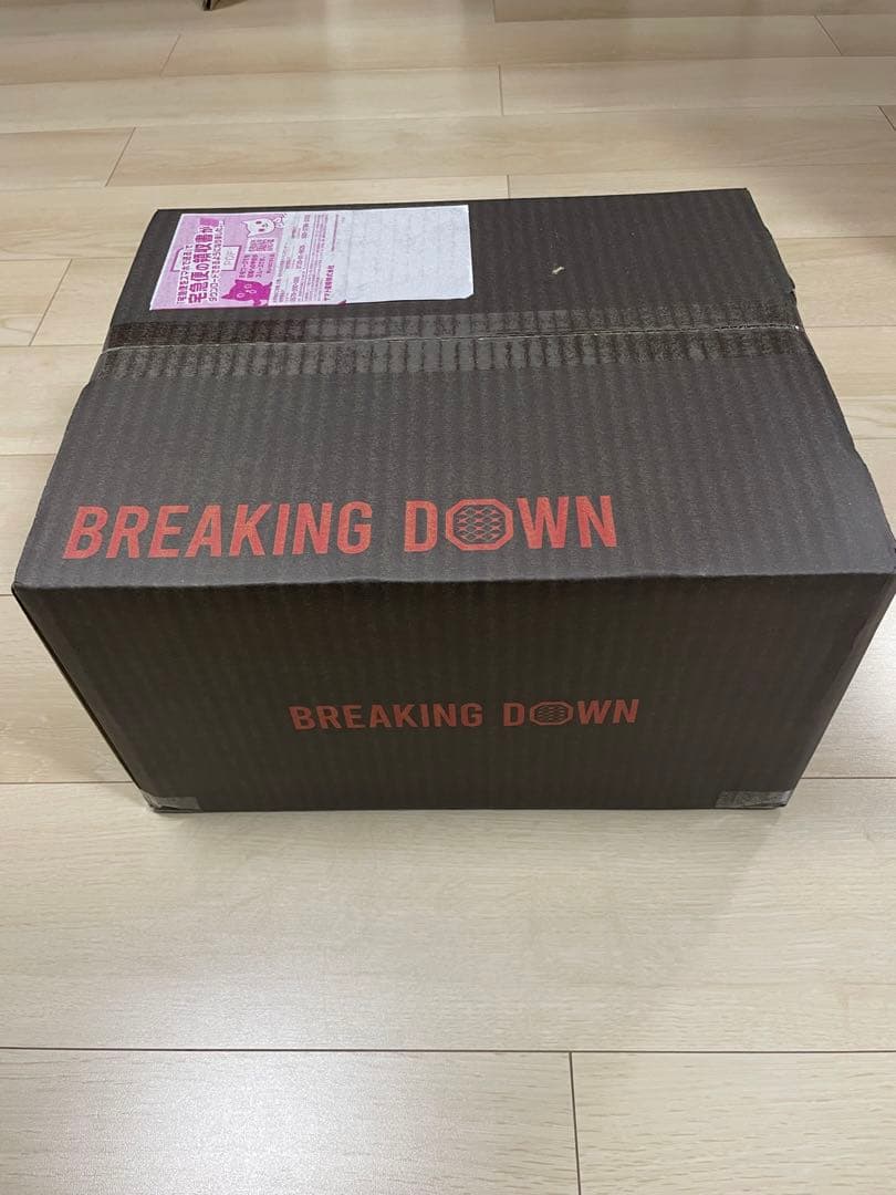 ブレイキングダウン