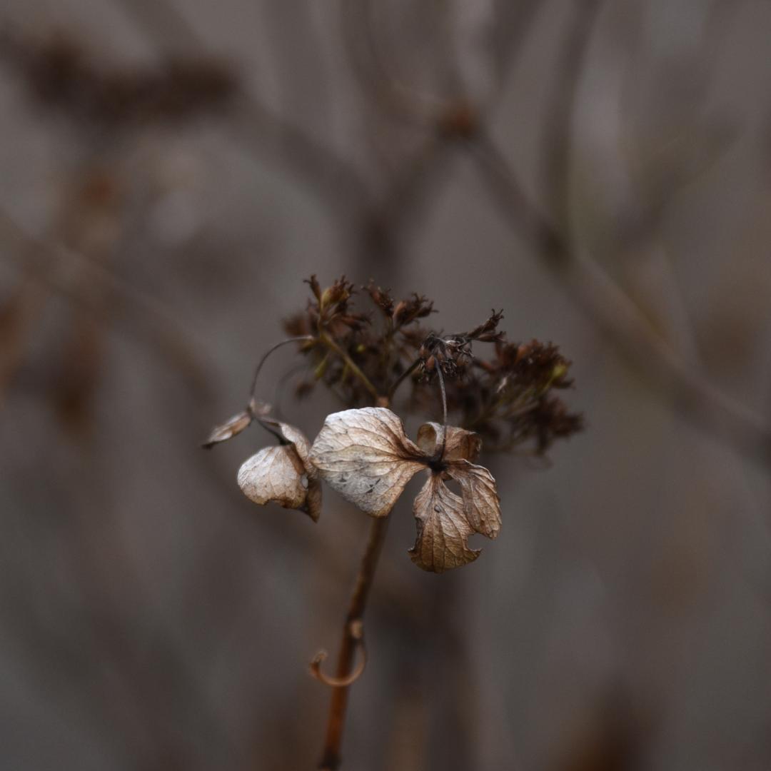 実用品 Nikon デジタル一眼レフD750 TAMRON 28-75mm付き