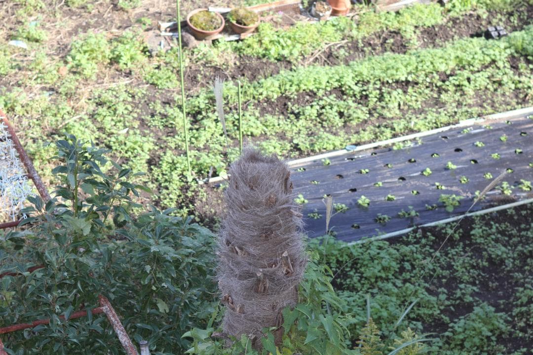 【美品 箱付き】 Canon EF 28-70mm F2.8 L USM