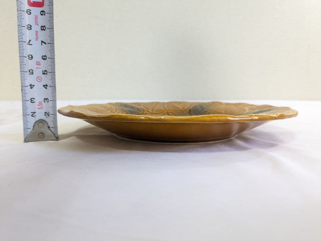 サルグミンヌ バルボティーヌ 果実 プレート 5枚セット