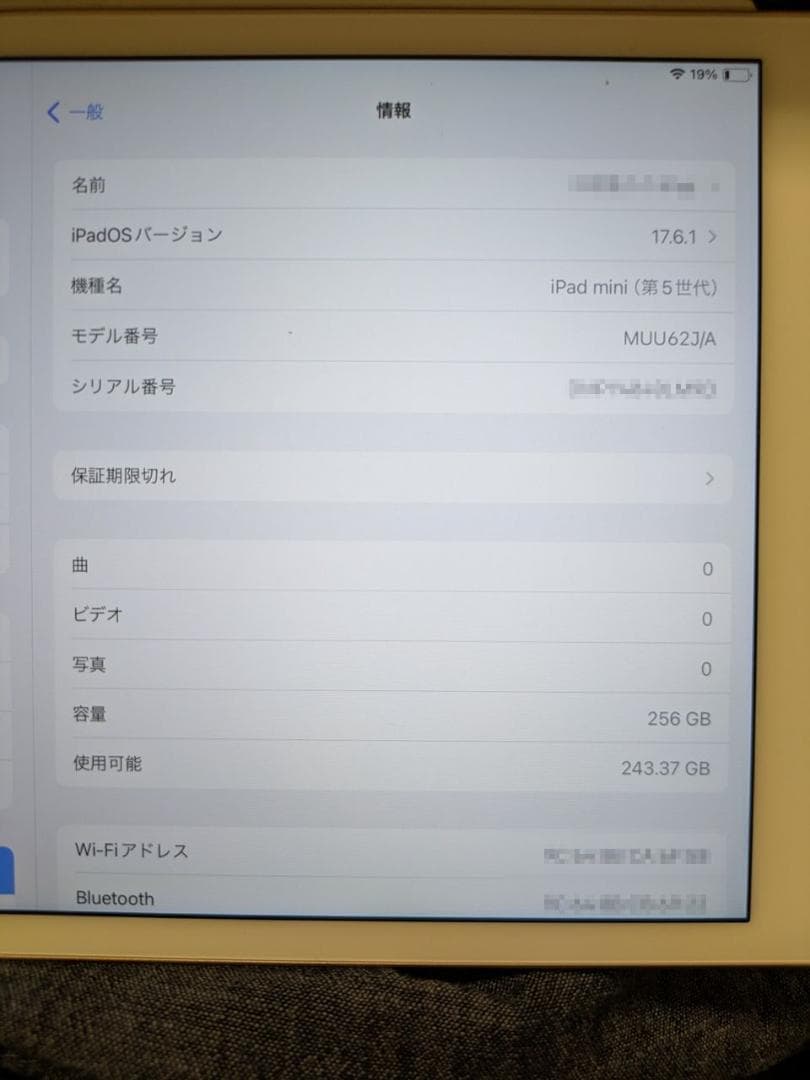 iPad mini（第5世代）256GB　ローズゴールド