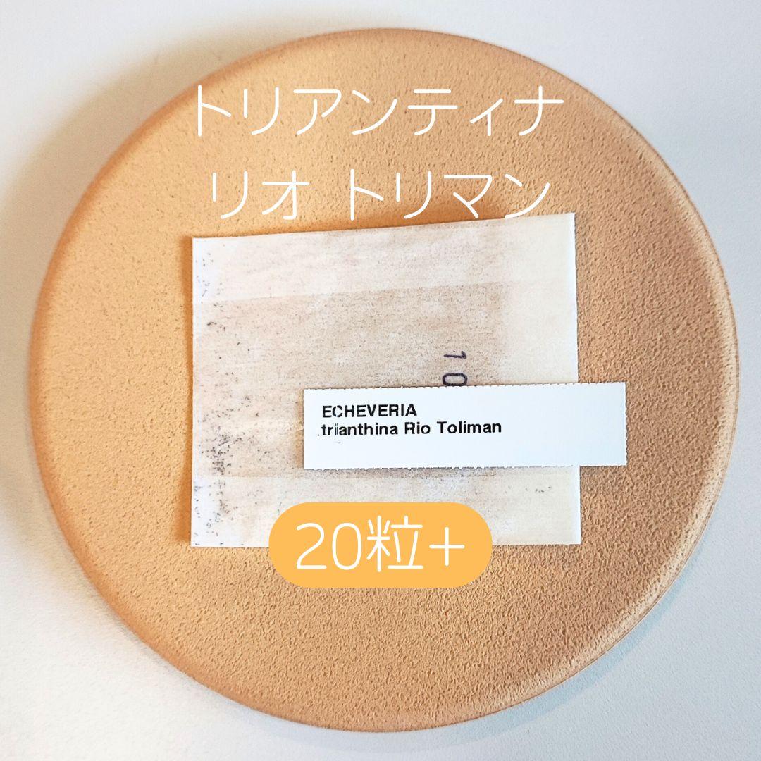 ゆゆ様 リクエスト 8点 まとめ商品