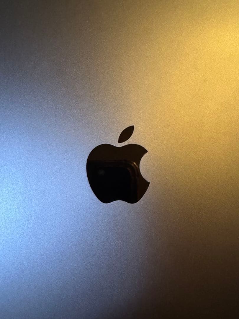 iPad Pro 11インチ 第3世代 256GB WiFiモデル