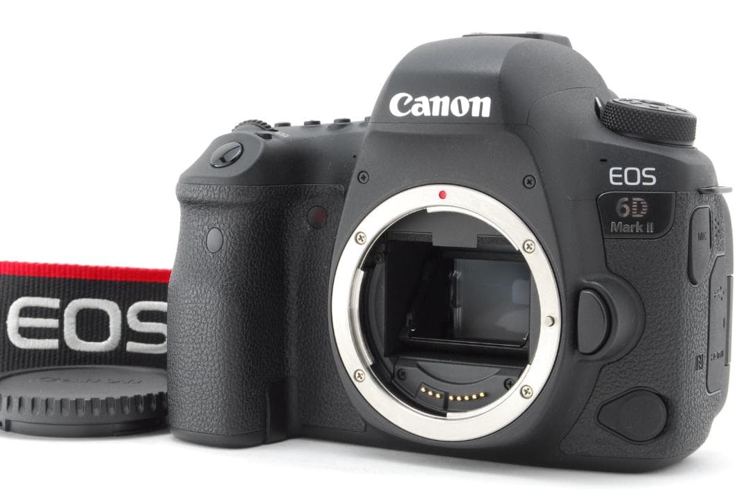 極美品 Canon EOS 6D Mark II 本体 #299