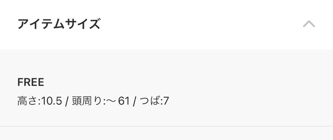 帽子 COMME des GARCONS HOMME Logo Cap