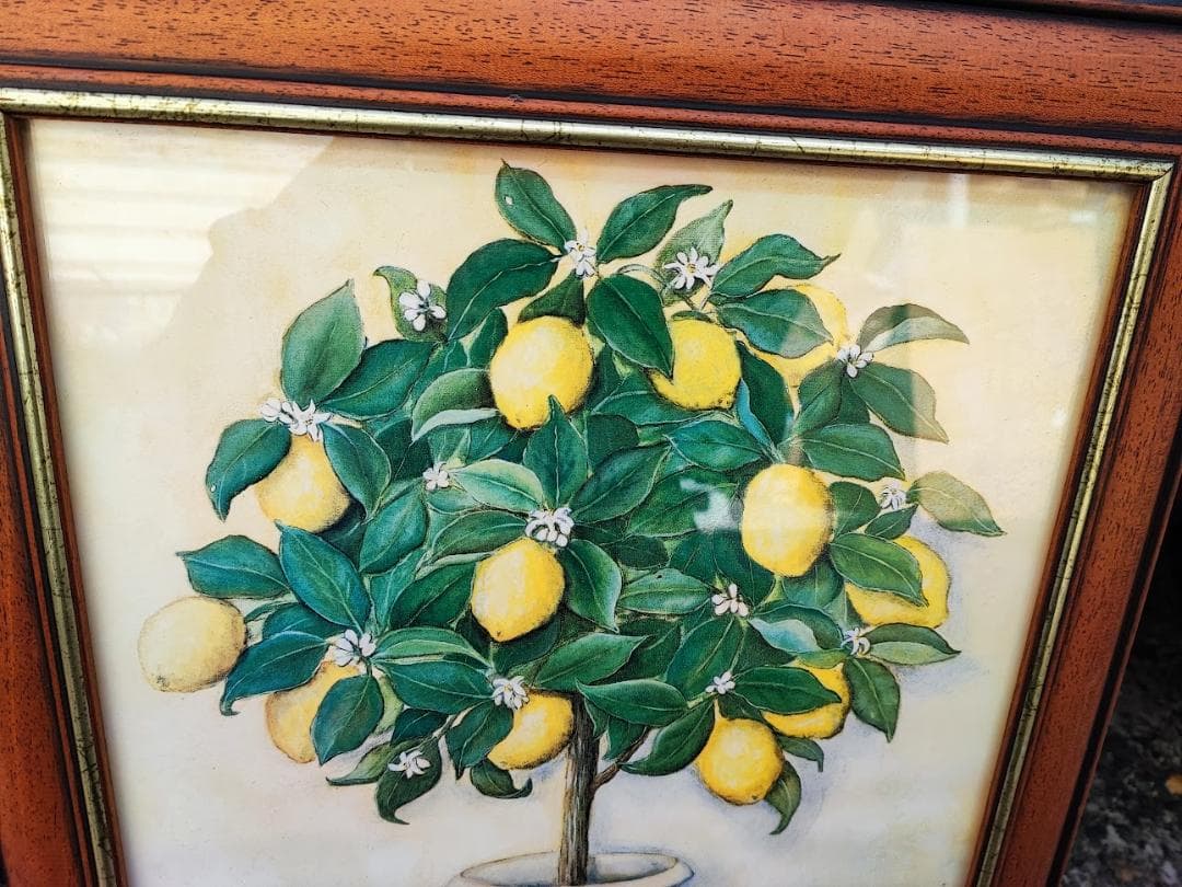 アンティーク　イタリア製　フレーム　レモン　アート　額縁　カントリー　33×44