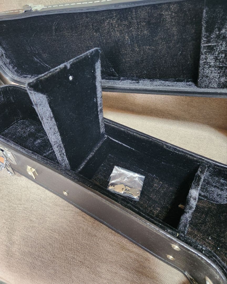 Aria アコースティックギター エレアコ AMB-35 BLS ハードケース