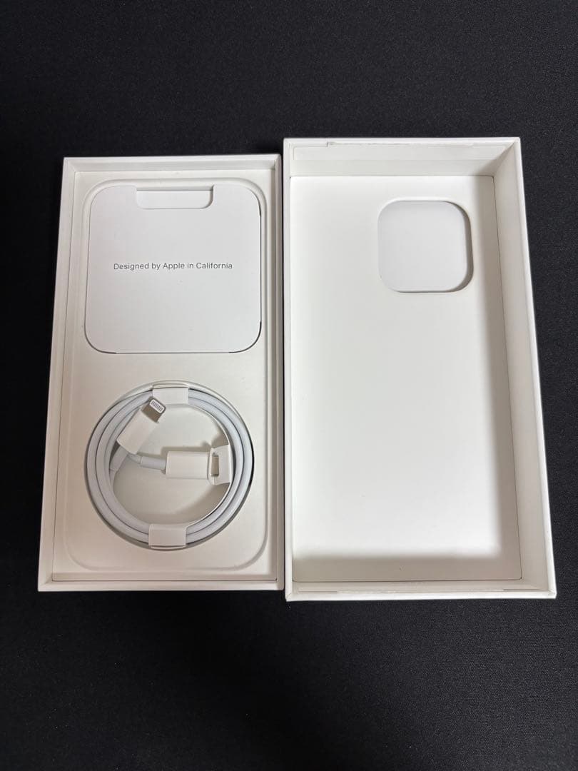 iPhone14Pro 画面不良