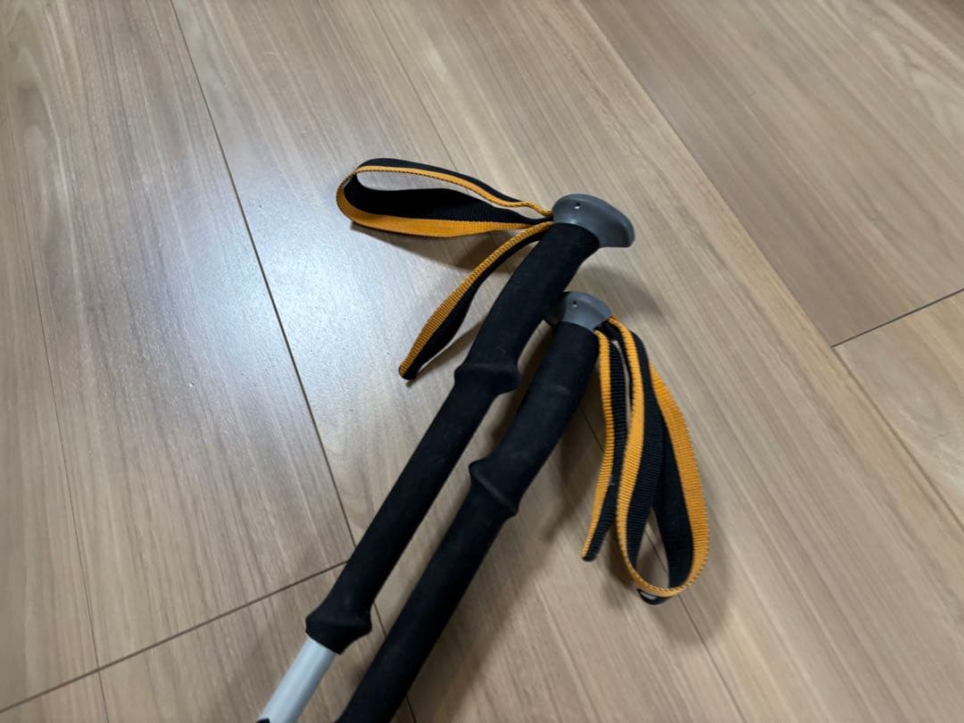 ★送料無料★お洒落　ブラックダイヤモンド　長さ調整ストック　スキー　雪山