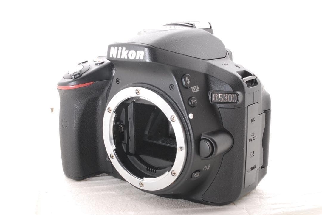 美品❤️ショット数3864回✨Nikon D5300ダブルズームセット 元箱付