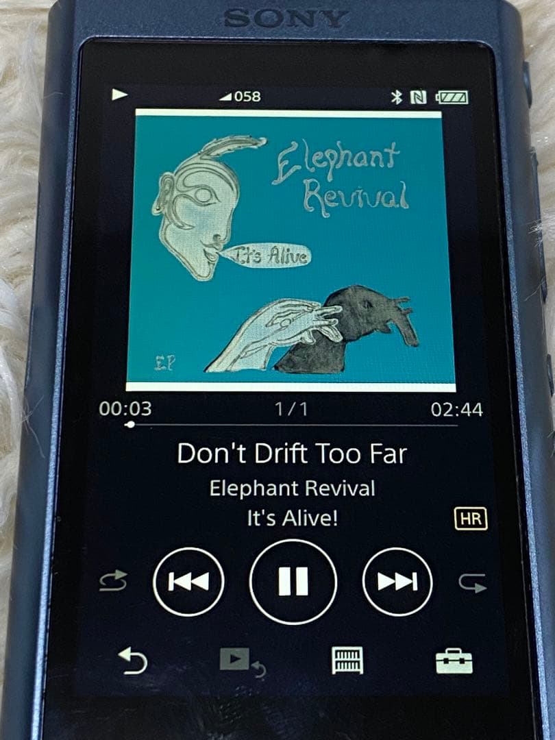 【極美品】【動作OK】SONY ウォークマン NW-A55 付属品完備 SD付