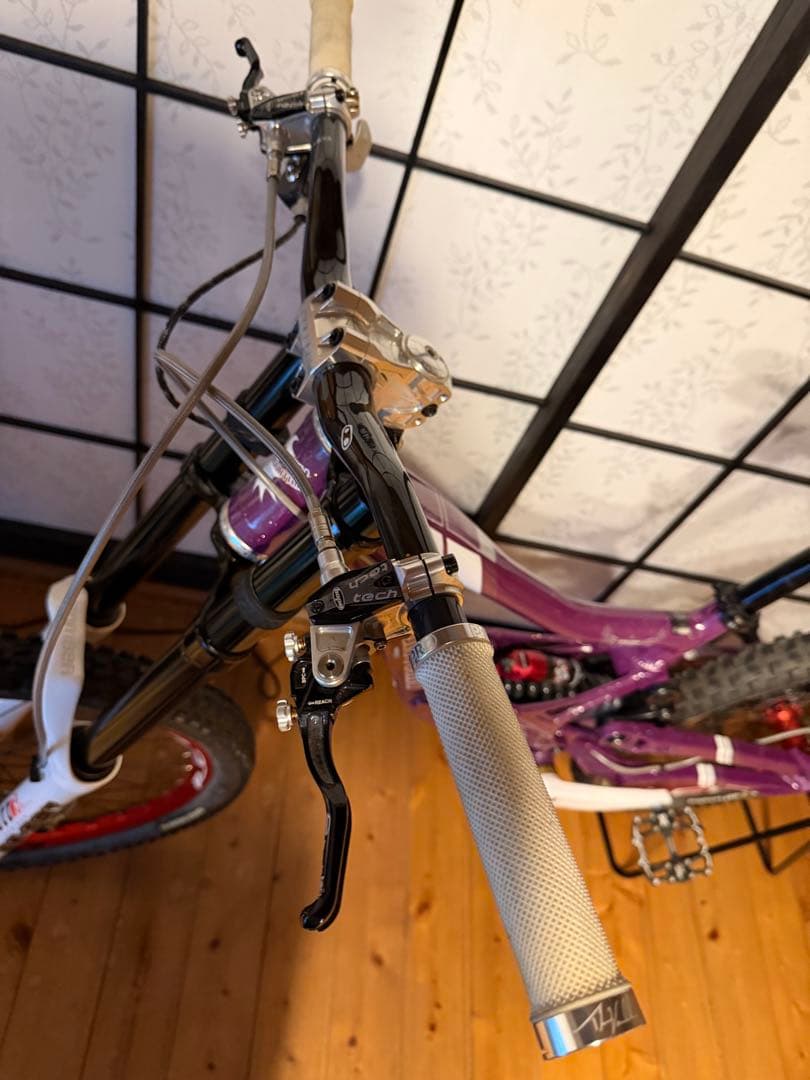 RockyMountain FLATLINE ダウンヒル