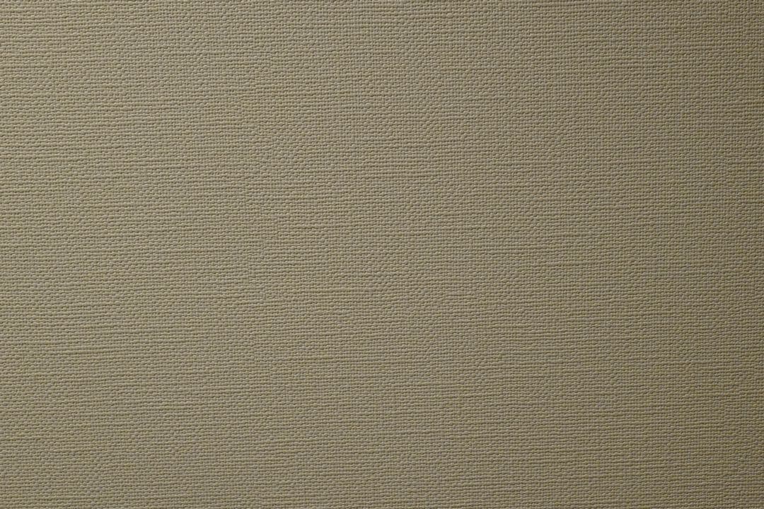 【美品】ライカ！leica Q-P