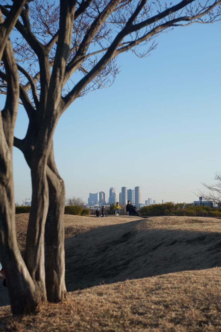 美品！赤エルマーダイヤ入！Redscale Elmar 50mm F3.5