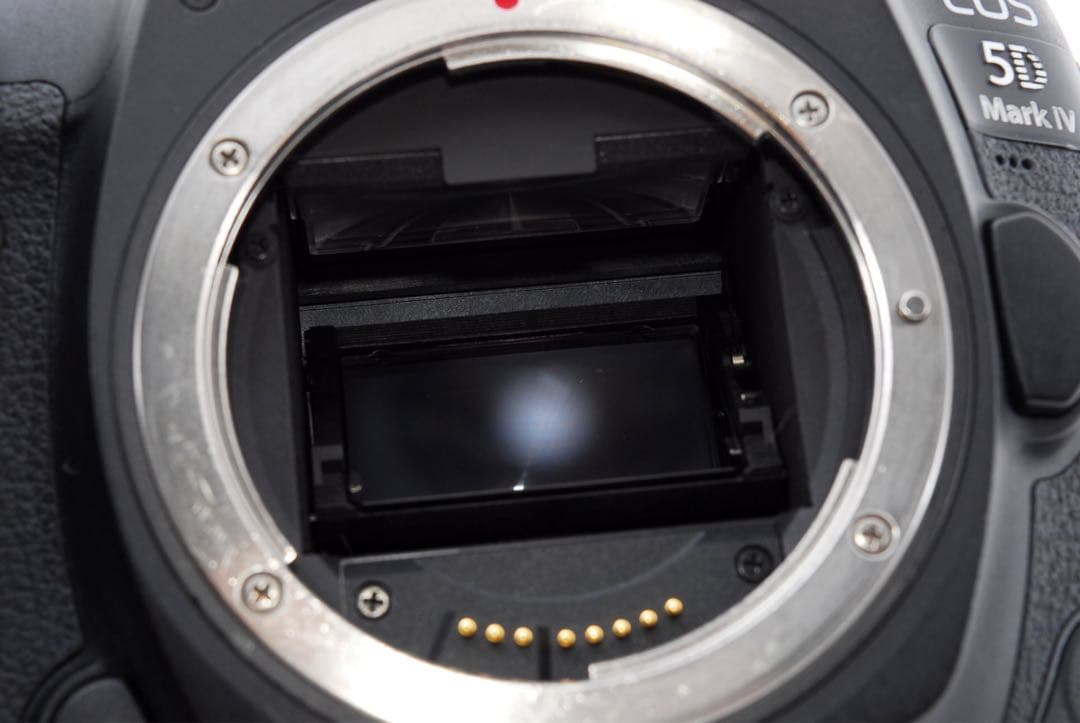 キャノン canon eos 5d mark iv標準&望遠&単焦点レンズセット