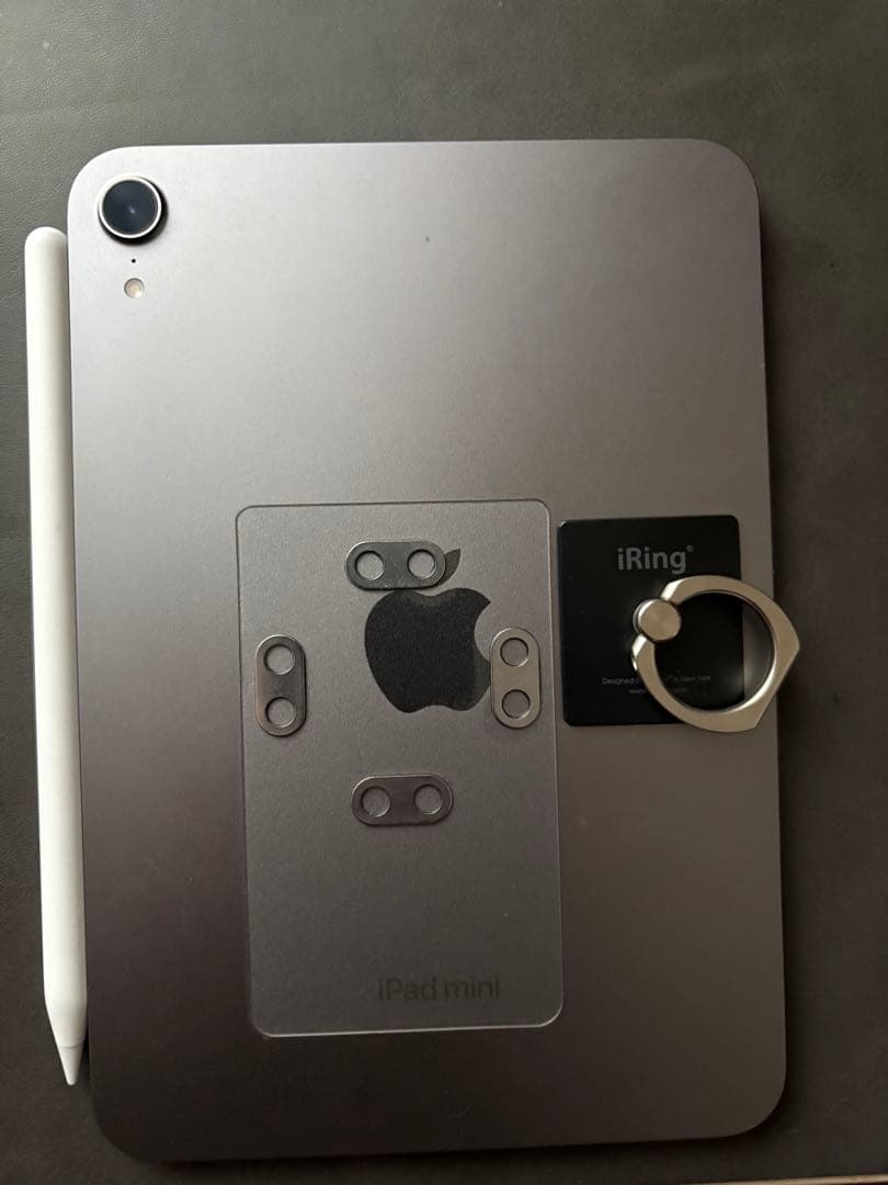 Apple iPad mini 本体 Apple Pencil付き