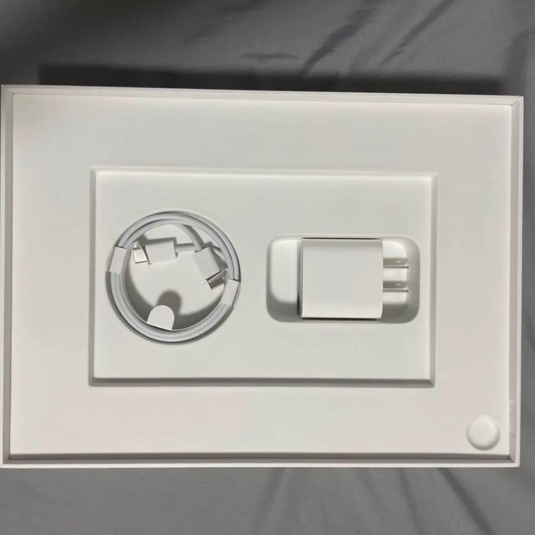 iPad本体 iPad Air4 256GB Apple Pencil2