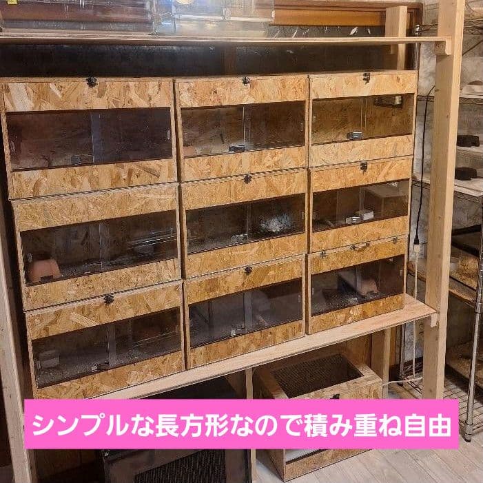 【まとめ特価】コスパ重視！OSB木製ケージ2個セット
