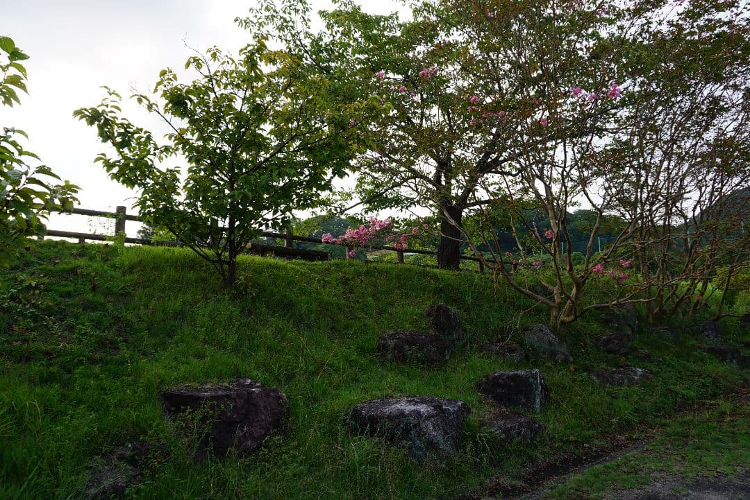 SONY α5100 ホワイト E 16-50mm